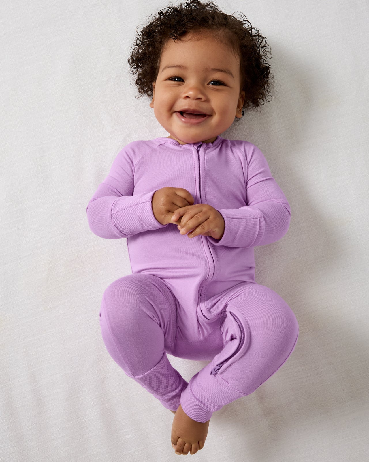 Soft Wisteria Zippy